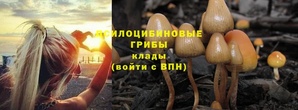 гидропоника Киренск
