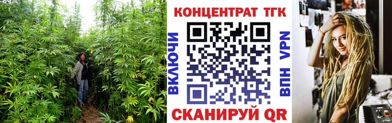 ТГК Wax  Купить  Александровск 