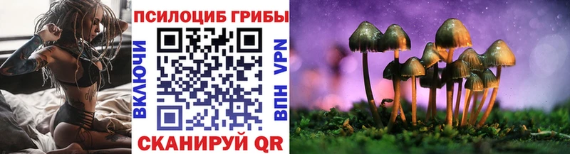 Галлюциногенные грибы Psilocybe  Купить где  Александровск 