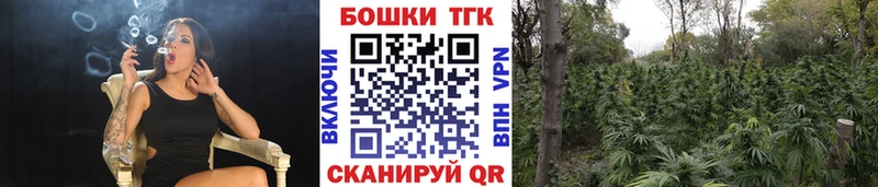 Купить  Александровск  Шишки марихуана семена 
